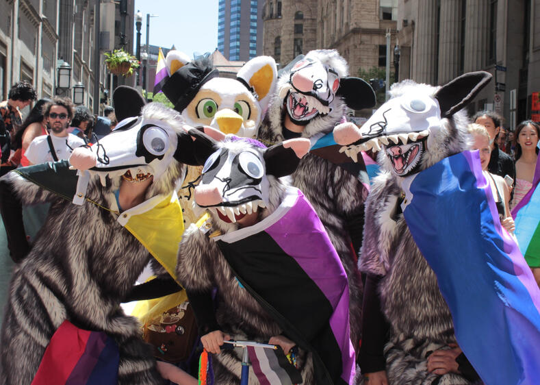 Pride Possums