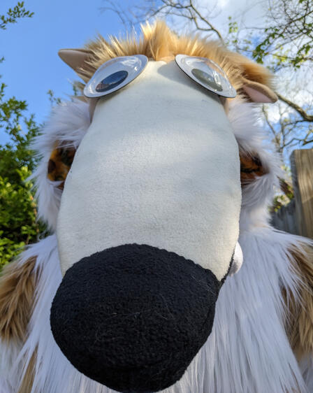 Didn't I do it for you?