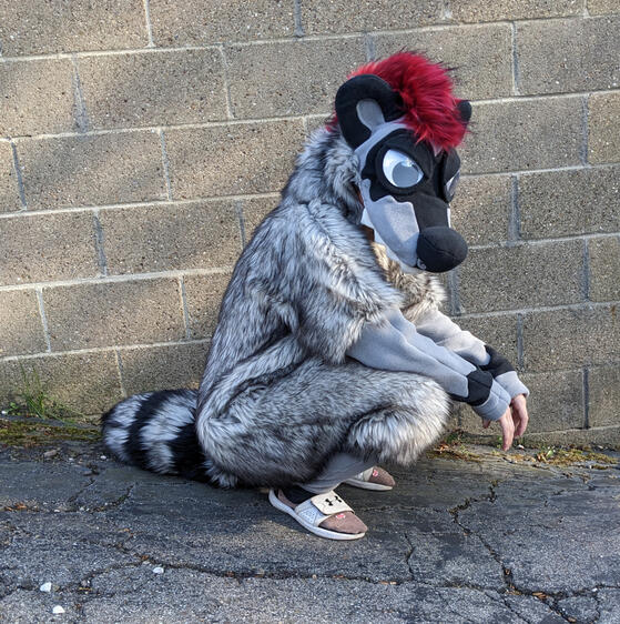 Punk Raccoon