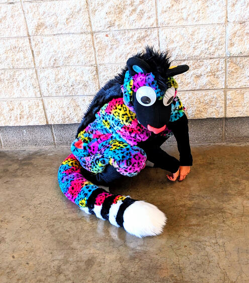 Rainbow Leopard (Frankie)