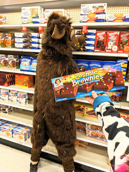 Cosmic Brownie Chocolate Lab