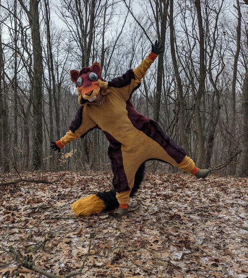 Indian Giant Squirrel